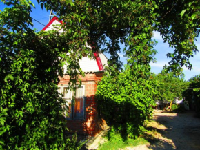 Country house on Chapaeva